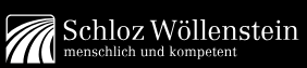 Logo_Schloz_Woellenstein.png