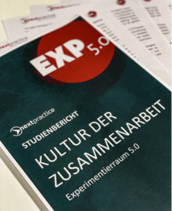 Bild der Publikation "Kultur der Zusammenarbeit" von nextpractice.